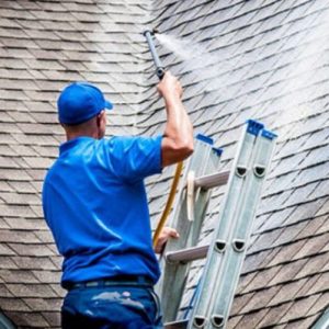 Roof Cleaning Lake Charles LA, Roof Cleaning Lafayette LA, Roof Cleaning Jennings LA, Roof Cleaning Crowley LA, Roof Cleaning Scott LA, Roof Cleaning Eunice LA, Roof Cleaning Kinder LA, Roof Cleaning Iowa LA, Roof Cleaning Sulphur LA, Roof Cleaning Breaux Bridge LA, Roof Cleaning Moss Bluff LA, Roof Cleaning Lake Arthur LA, Roof Cleaning Welsh LA, Roof Cleaning Broussard LA, Roof Cleaning Gueydan LA, Roof Cleaning Iota LA, Roof Cleaning Carencro LA, Roof Cleaning Rayne LA, Roof Cleaning Dustin LA, Roof Cleaning Westlake LA